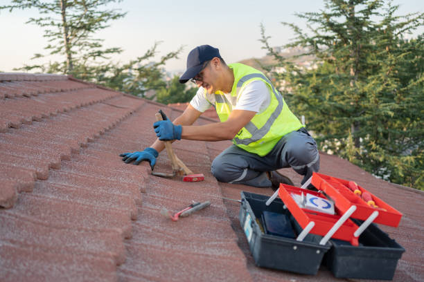 Best New Roof Installation  in Thomasville, GA